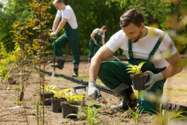 Les métiers d’avenir pour travailler dans les espaces verts