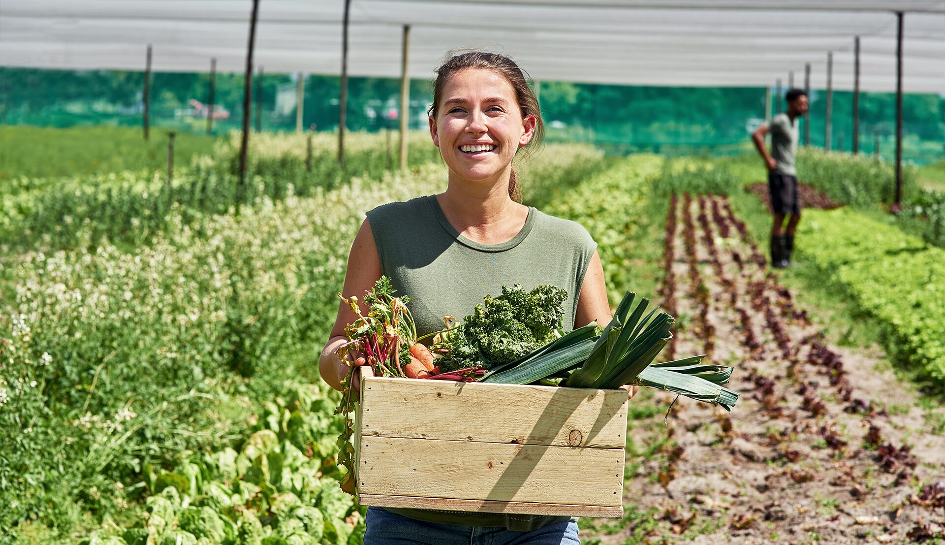 Les métiers de l’agriculture : formations, débouchés et intérêts