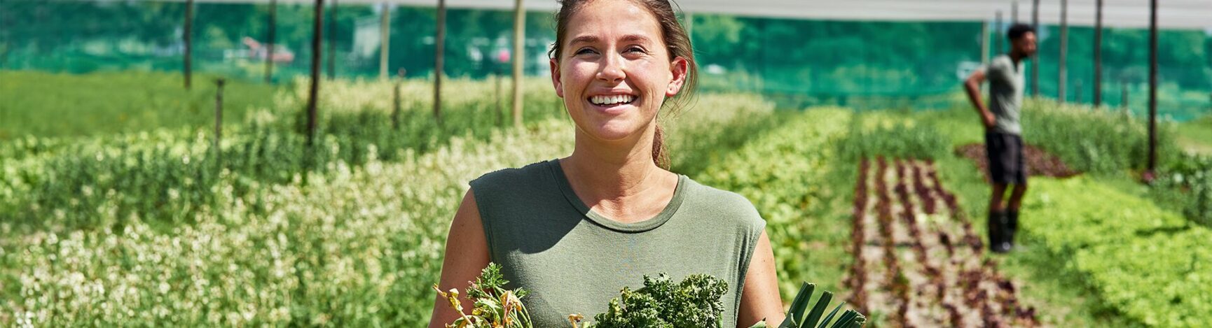 Les métiers de l’agriculture : formations, débouchés et intérêts