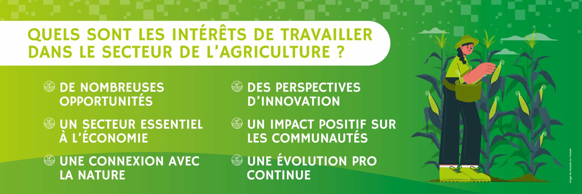 Quels sont les intérêts de travailler dans le secteur de l’agriculture ? 
