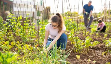 Travailler en été : et si vous profitiez de vos vacances pour tester un métier ?